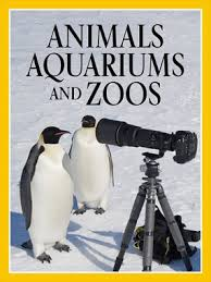 Animals, Aquariums & Zoos