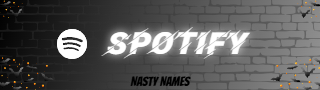 Spotify Stream Music (Playlist)