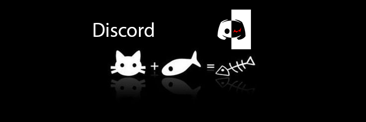 ⚡ Discord:
